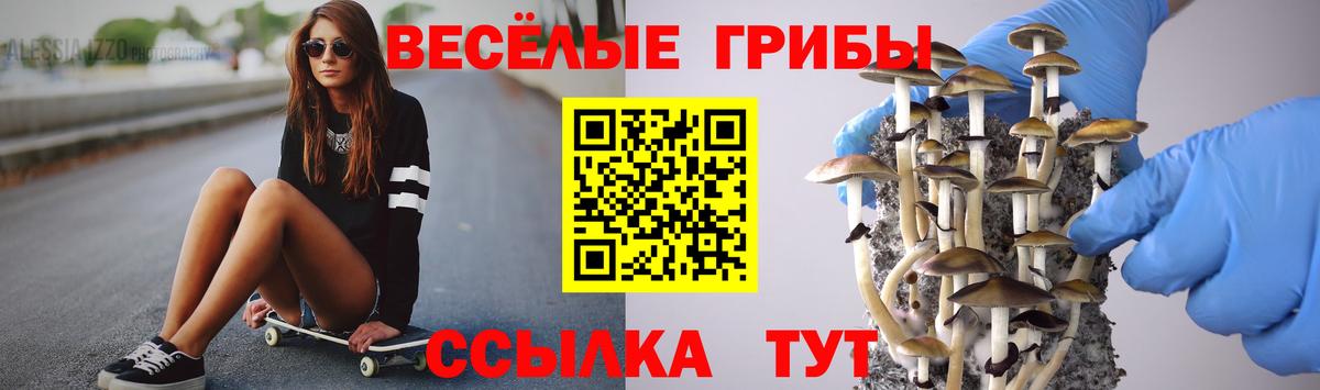 Псилоцибиновые грибы GOLDEN TEACHER  Вход с VPN  Лениногорск 